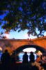 bbq2008_057.jpg